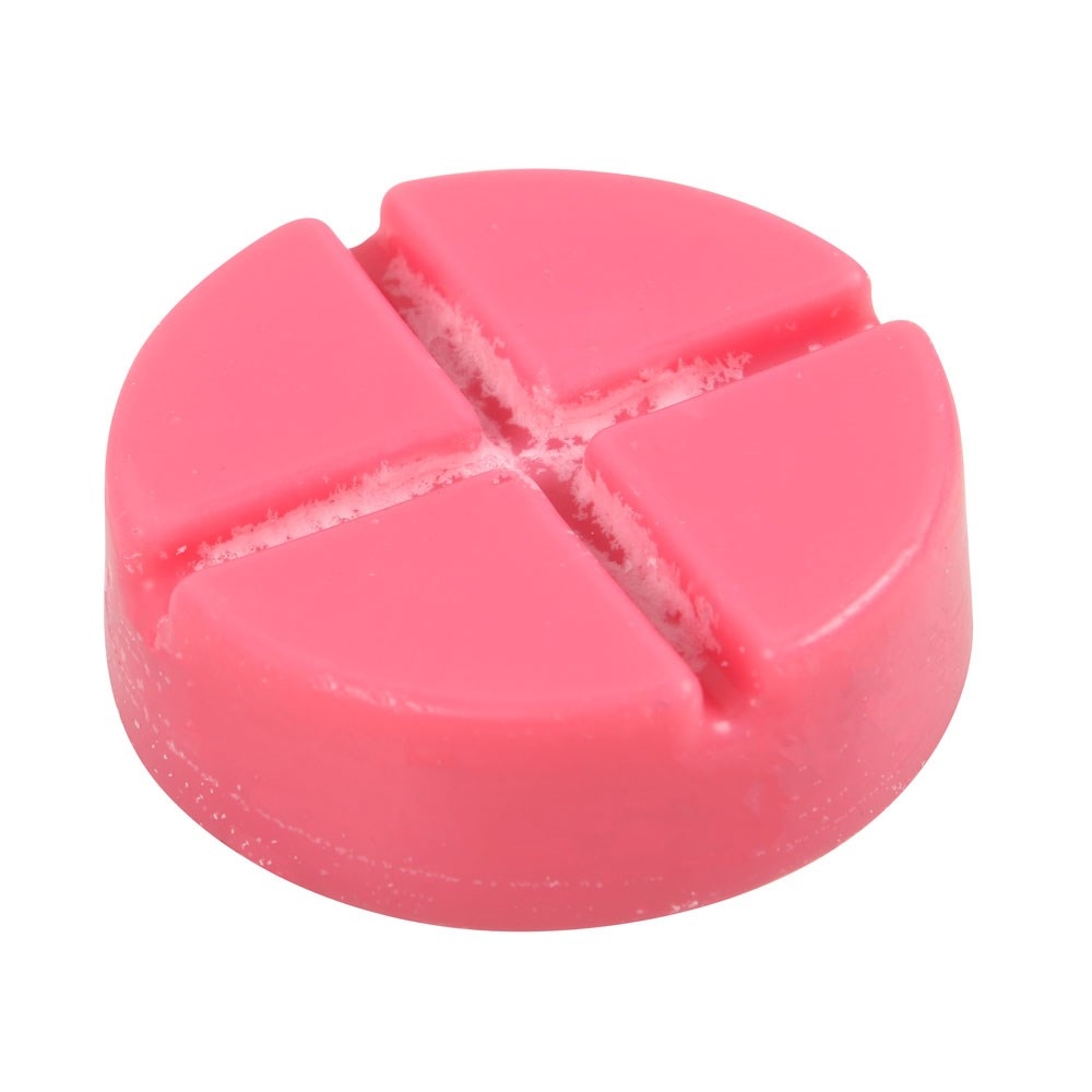 Something Different - Poison Apple Snap Disc Wax melts - Multicolore